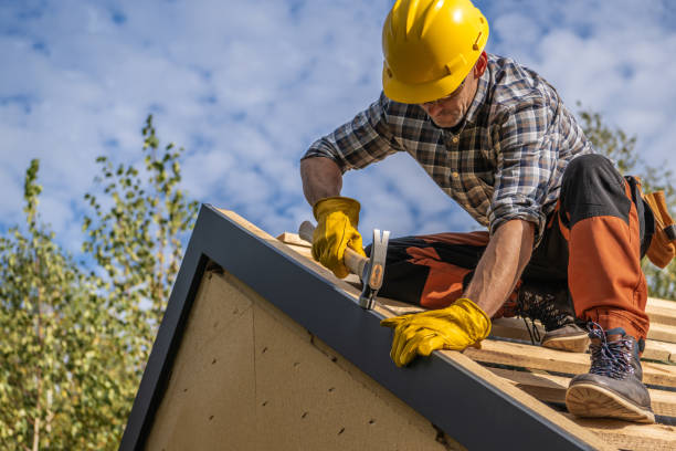 Best Roof Insulation Installation  in Byram, MS